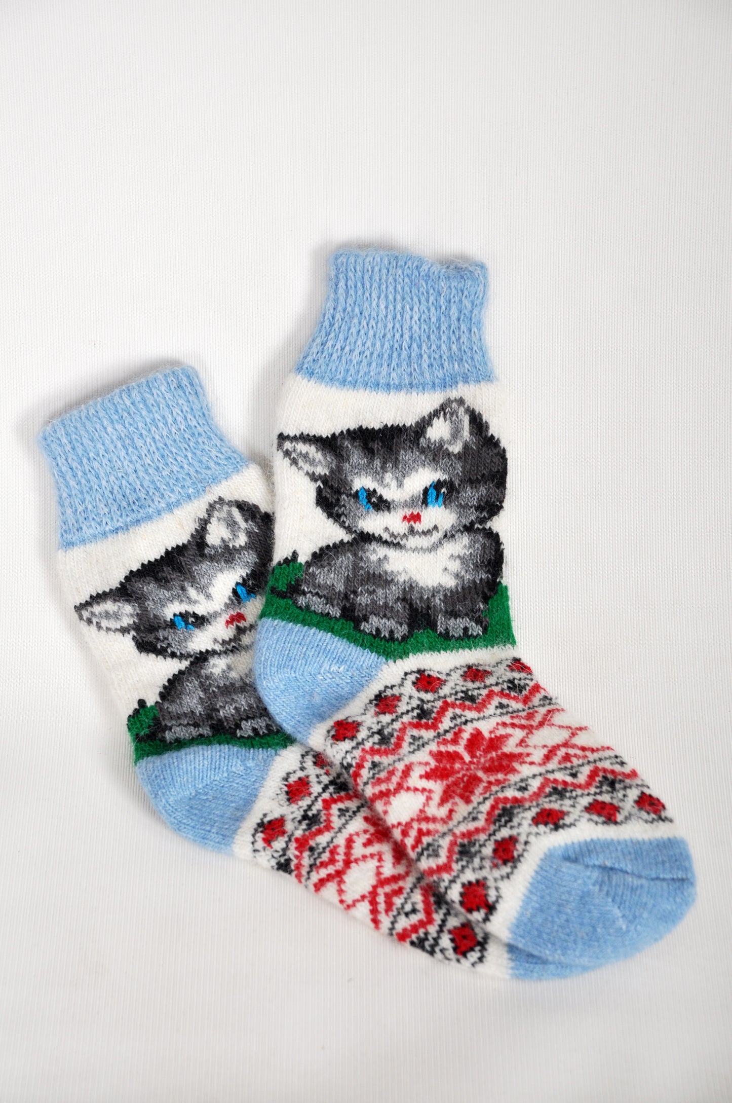 Cozy Kitty Collection