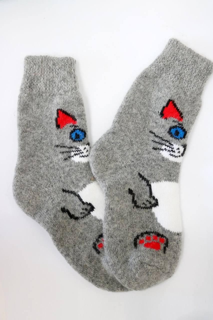 Cozy Kitty Collection